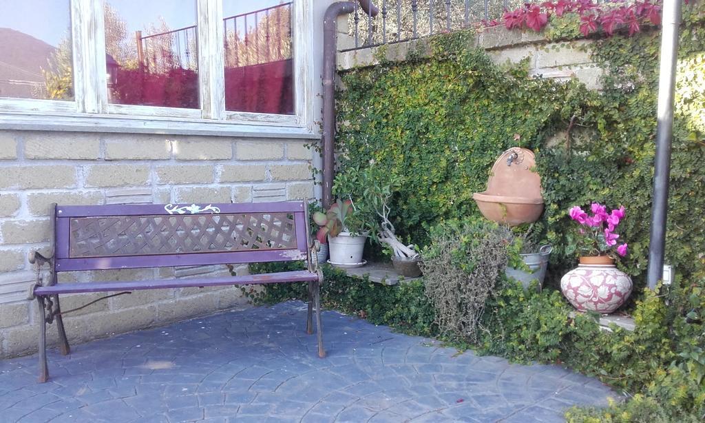 Il Poggio Degli Ulivi Apartment Тревиняно Романо Стая снимка