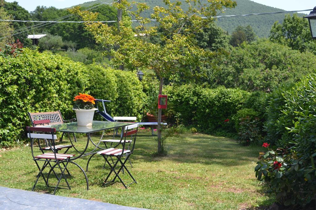 Il Poggio Degli Ulivi Apartment Тревиняно Романо Стая снимка