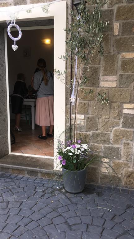Il Poggio Degli Ulivi Apartment Тревиняно Романо Екстериор снимка