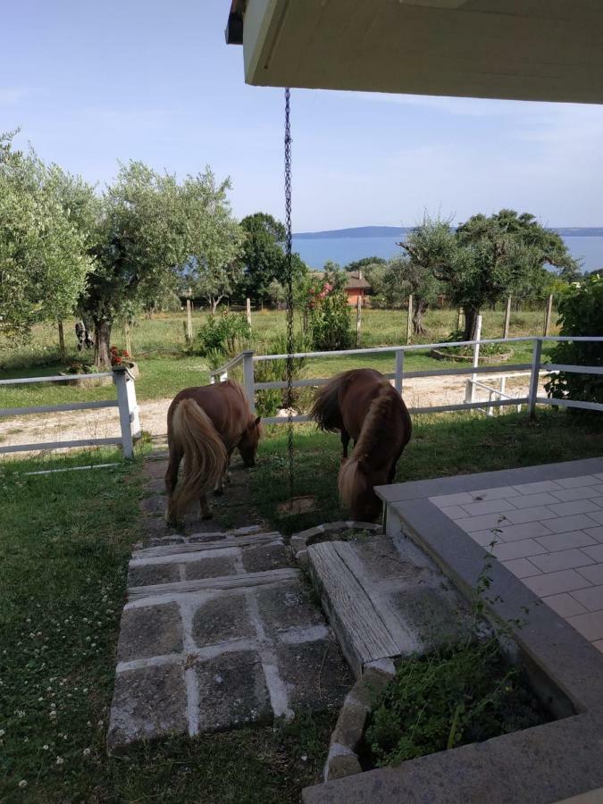 Il Poggio Degli Ulivi Apartment Тревиняно Романо Екстериор снимка